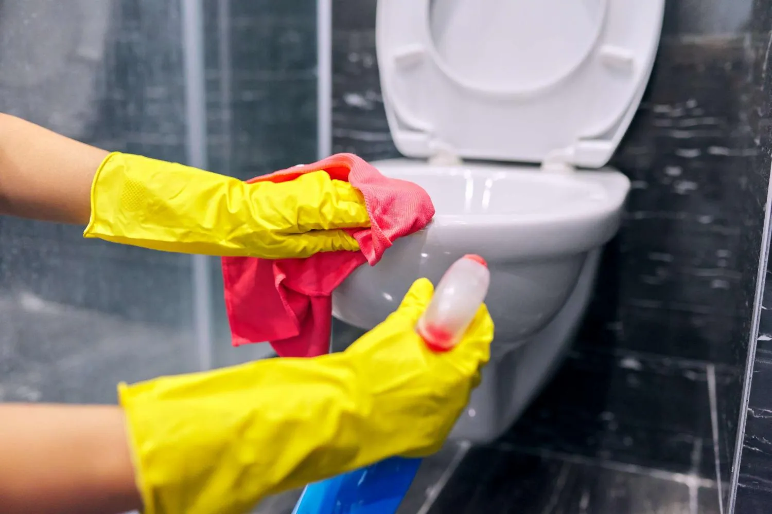 Chùi toilet